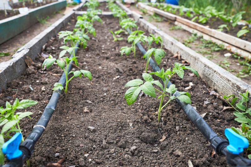 Drip Irrigation Installation detail