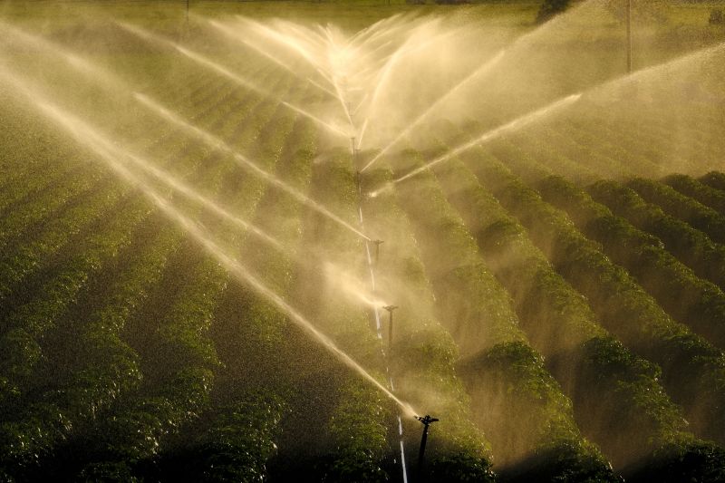 Irrigation System Installation detail