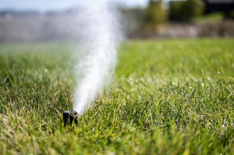 Irrigation System Winterization detail