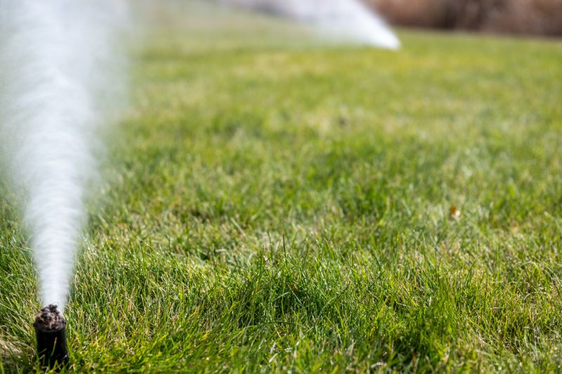 Irrigation System Winterization detail