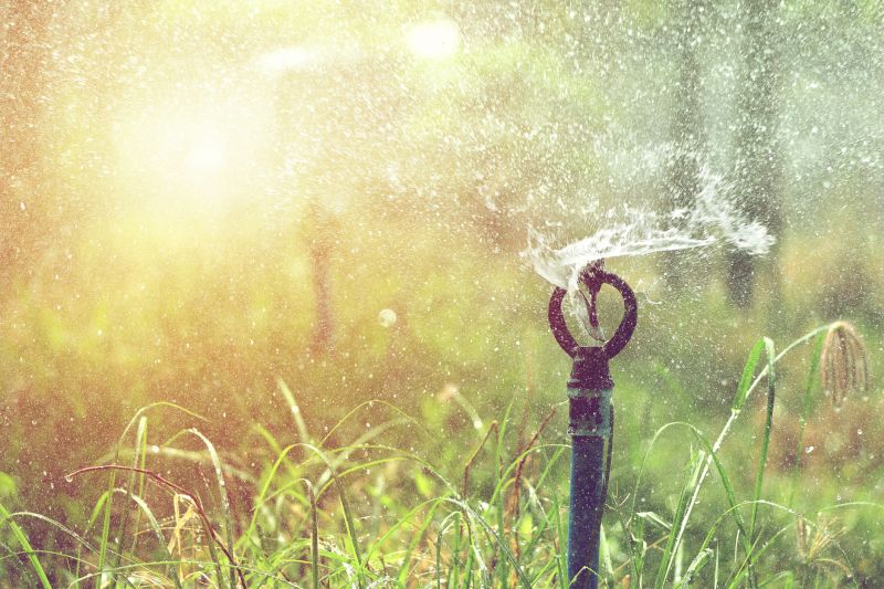 Sprinkler Head Replacement detail