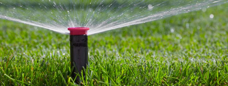 Sprinkler Head Replacement detail
