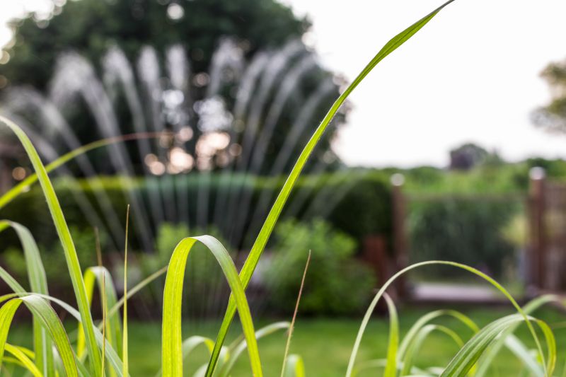 Sprinkler Installation Service detail