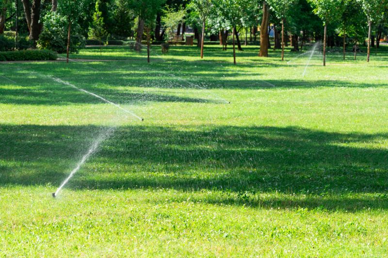 Yard Irrigation Installation detail