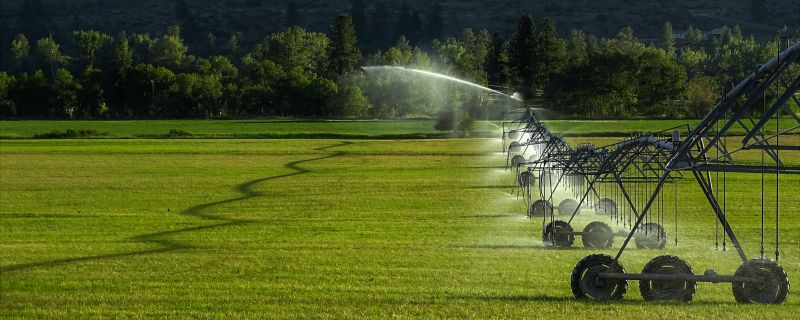 Lawn Irrigation Installation