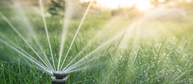 Sprinkler Head Replacement